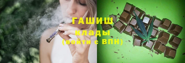 прущие грибы Краснотурьинск