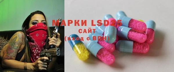 ECSTASY Кукмор