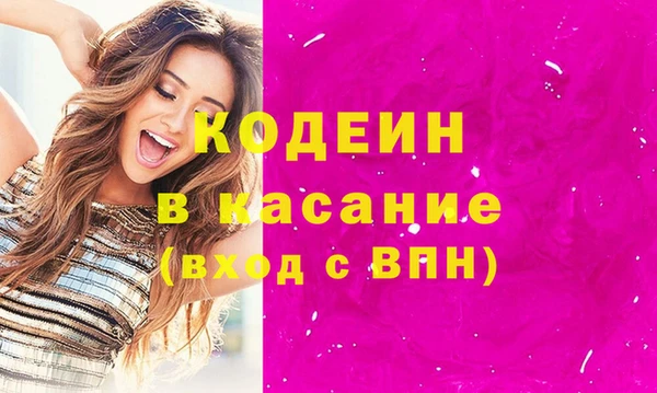 прущие грибы Краснотурьинск