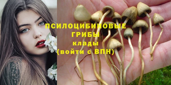 прущие грибы Краснотурьинск