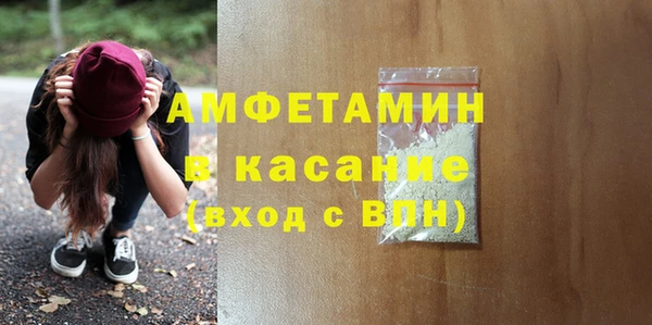 прущие грибы Краснотурьинск