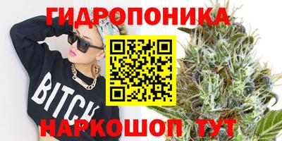 гашик Краснознаменск