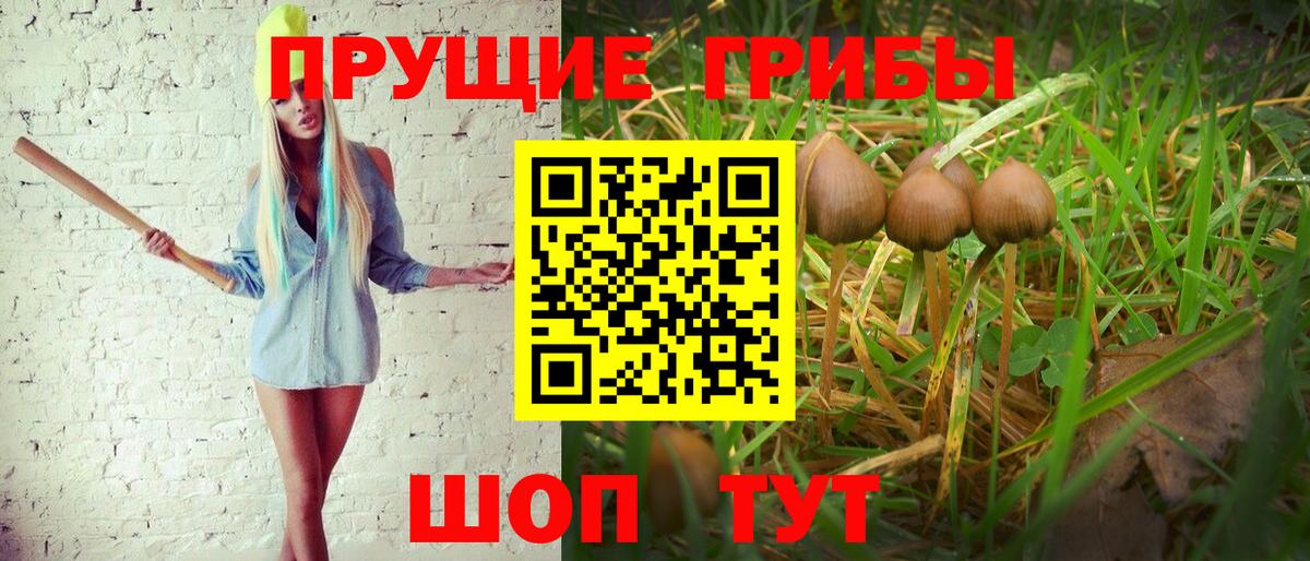 Сегежа  Вейп ТГК  COCAIN  ГАШ  Меф МЯУ МЯУ   НБОМе  Вход с VPN  Марихуана 
