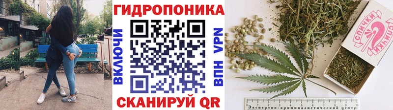 Конопля MAZAR  Сегежа 